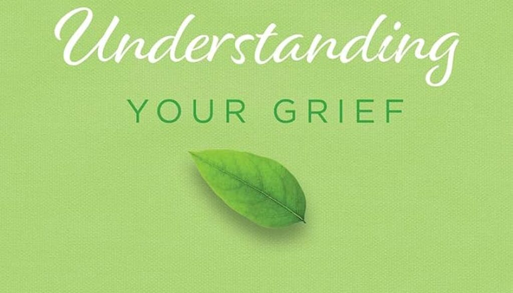 61BiPdWHm+L._AC_UF1000,1000_QL80_