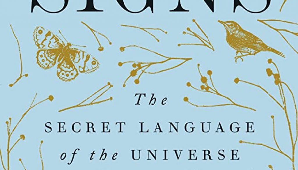 81rnXJdWB7L._AC_UF1000,1000_QL80_