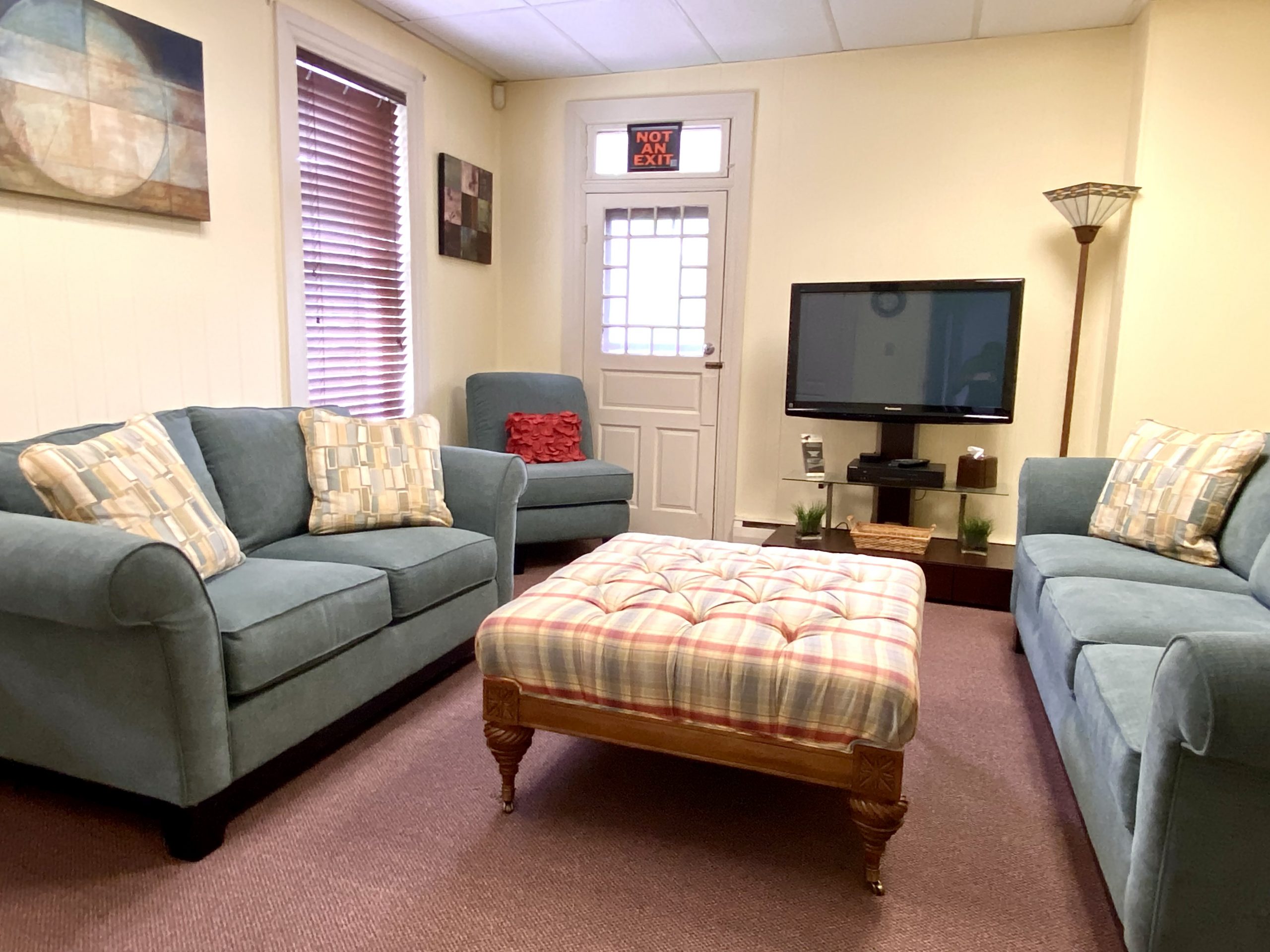 The Young Adult Room When we learned that college-aged grievers were feeling a bit left out at Olivia’s House, we moved quickly to design a space just for them! This room has a peaceful and mature feel. Overstuffed sofas, a big screen television and a private location in the back of the house make the young adult room both comfortable and useful!