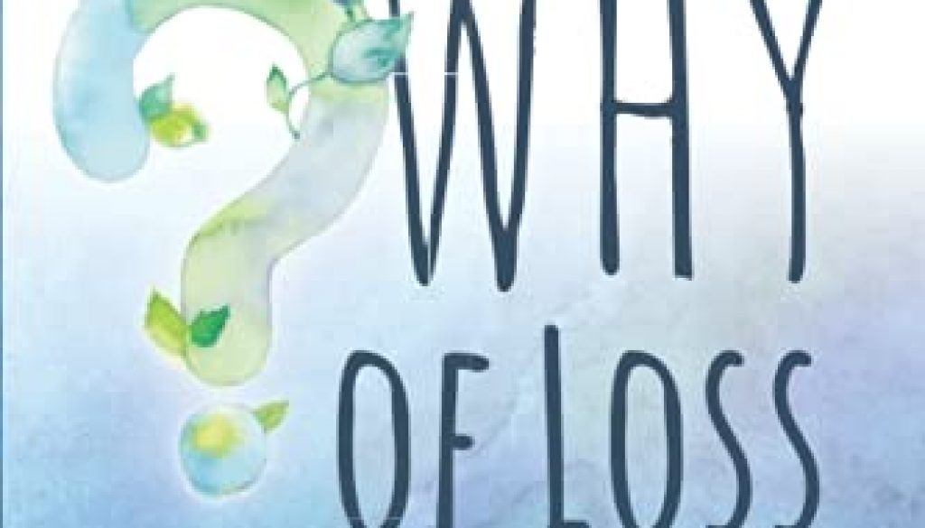 book_BeyondTheWhyOfLoss