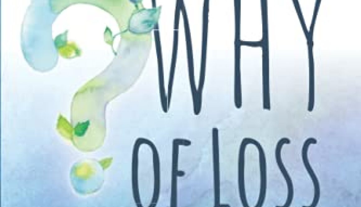 book_BeyondTheWhyOfLoss