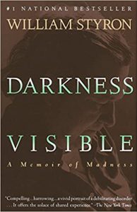 book_DarknessVisible