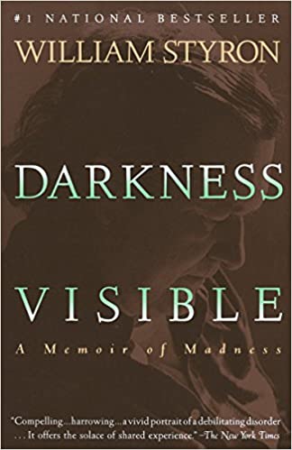 book_DarknessVisible
