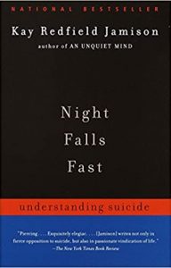 book_NightFalls