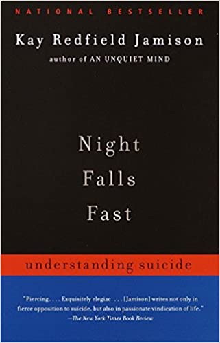 book_NightFalls book_NightFalls