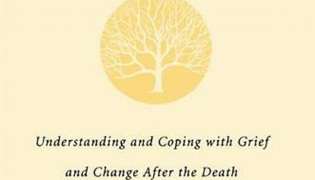 book_TheOrphanedAdult