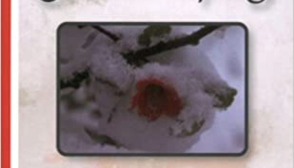 book_WhenWinterFollowsSpring