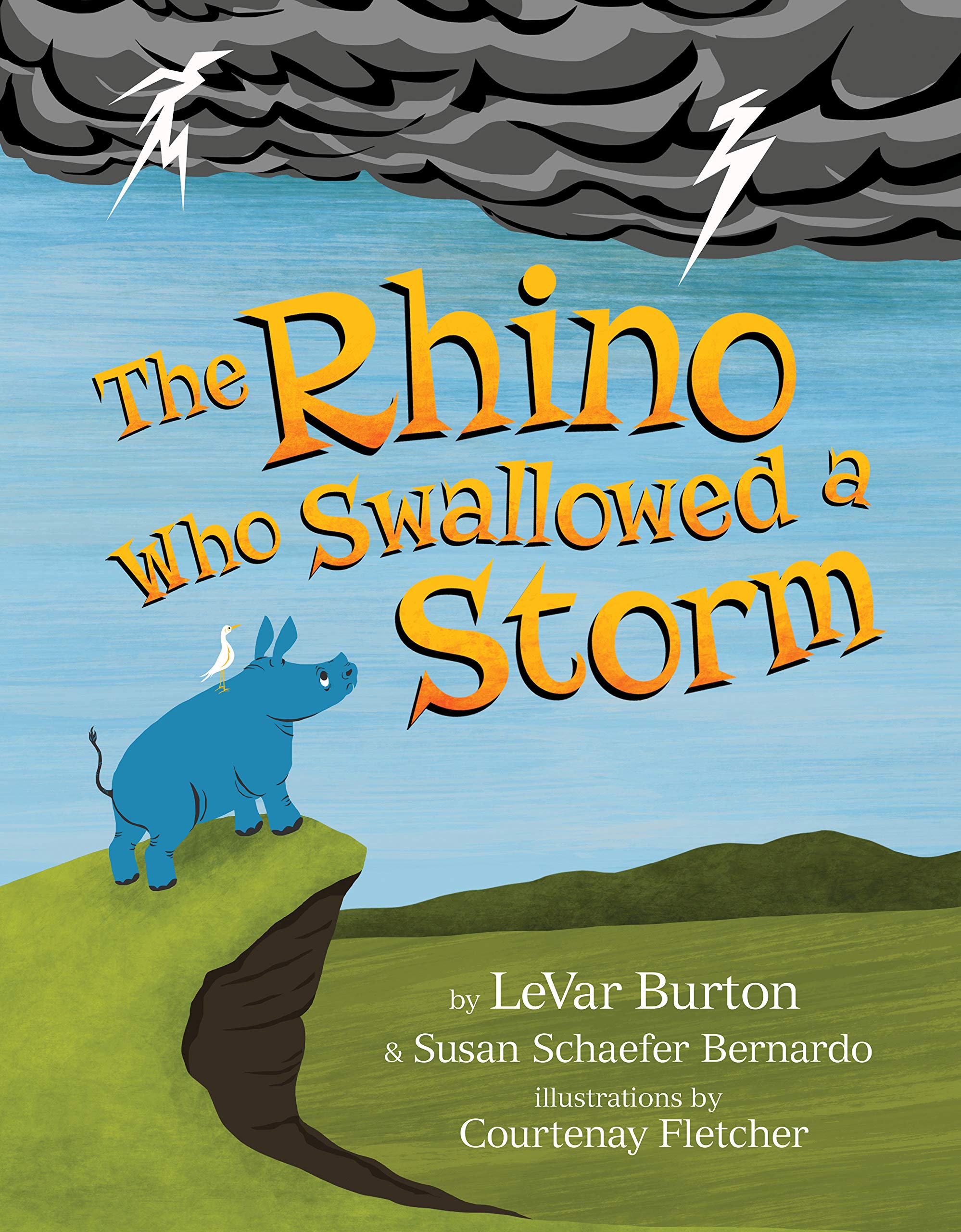 book_therhinowhoswallowedastorm book_therhinowhoswallowedastorm
